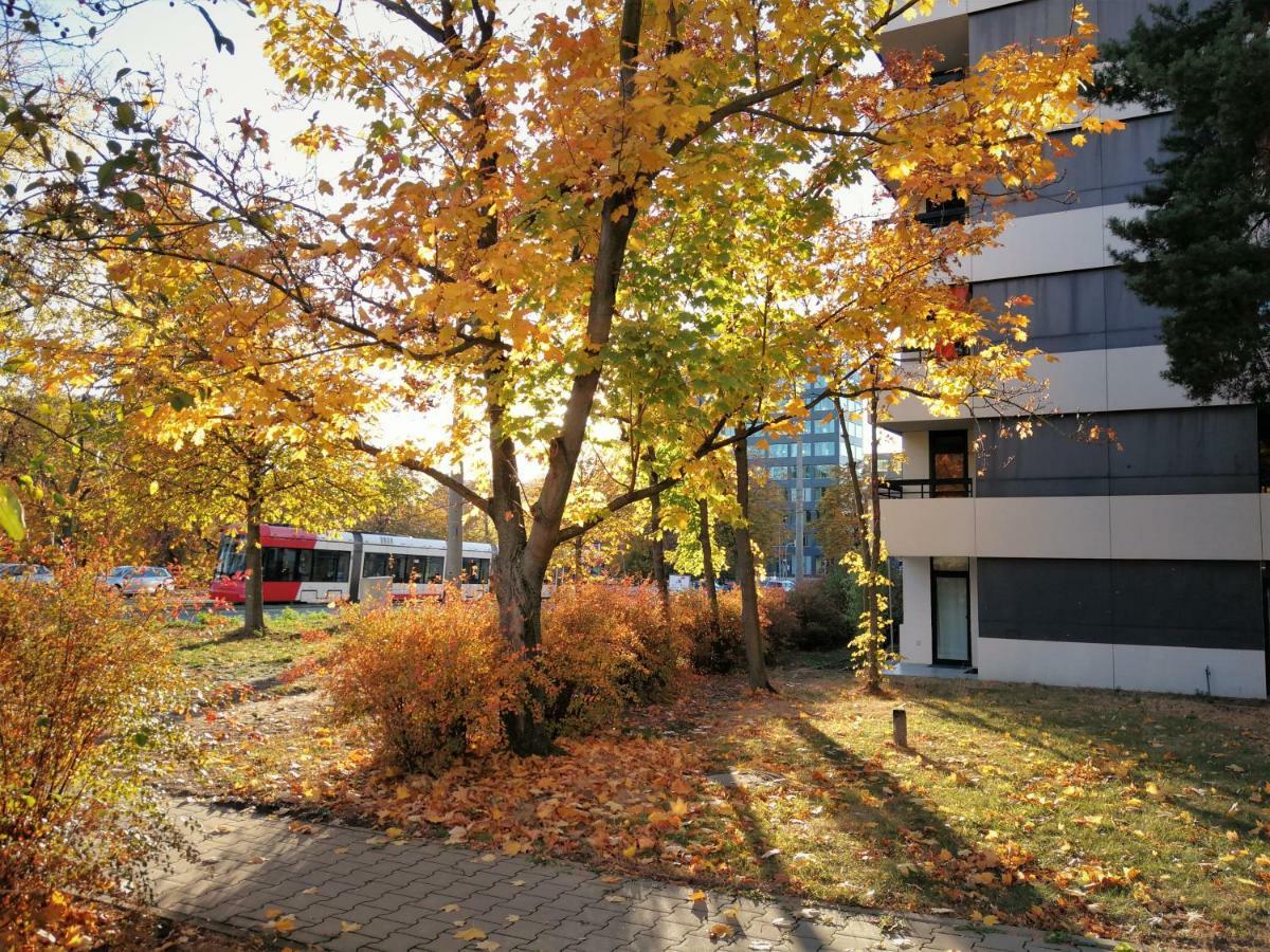 Central-Apt At Lake, Citycenter 5Min, Fair 18Min!!! Núremberg Exterior foto